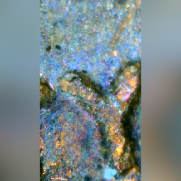 1981 D Penny  offset obverse - Picture 4 of 5